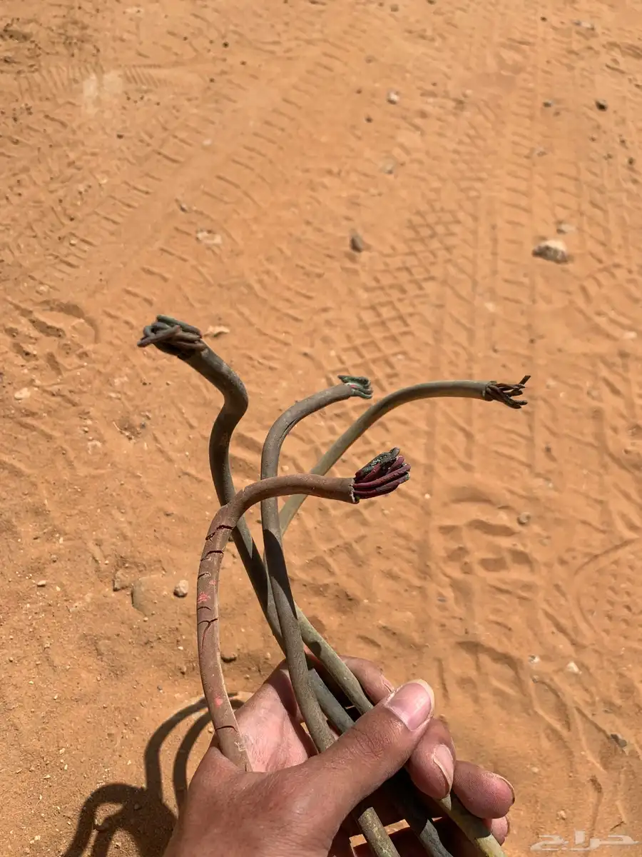 كيبل كهرب 1