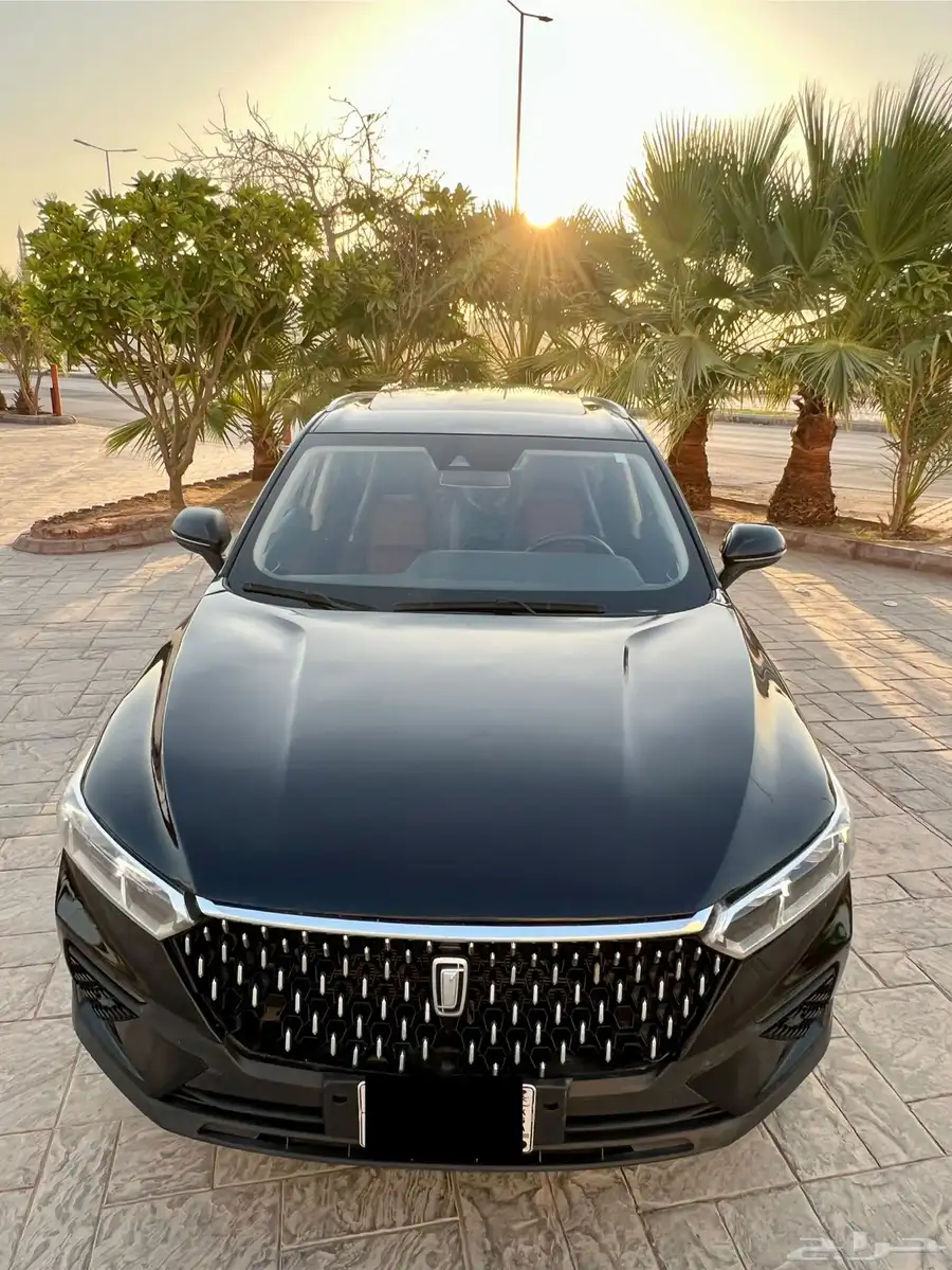 فاو T77 0