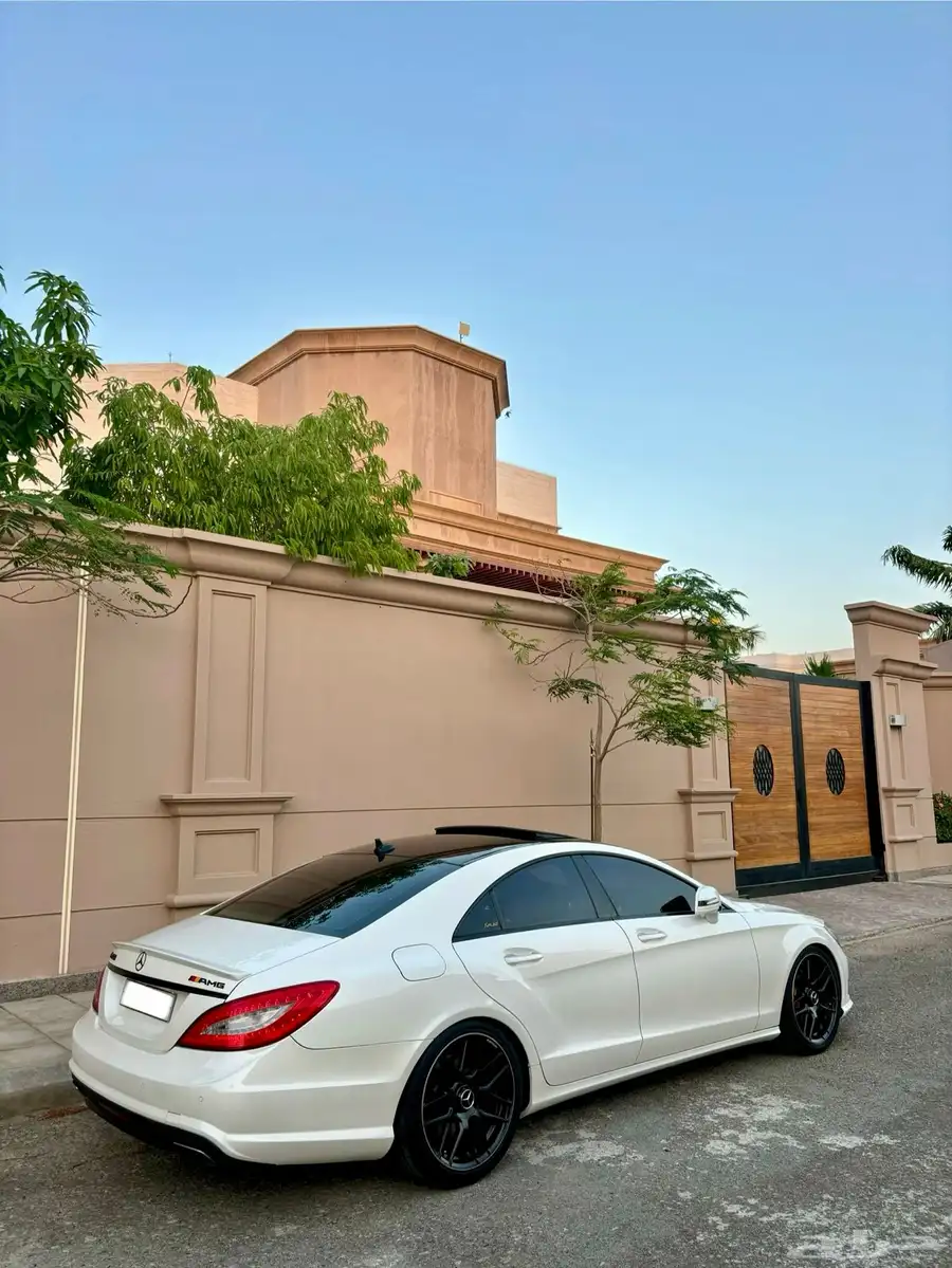 ( CLS500 blue efficiency )2012 index
