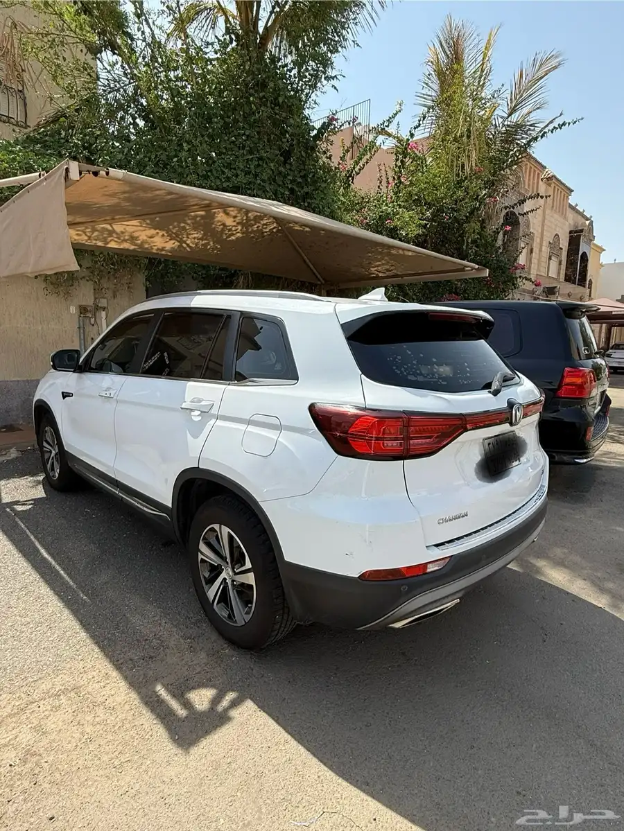 شنجان 2020 2