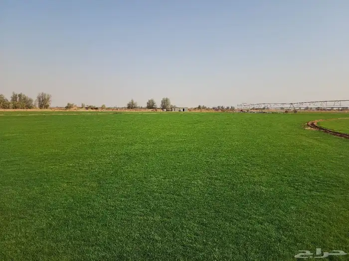 ثيل سي الفين درجه اولى 2
