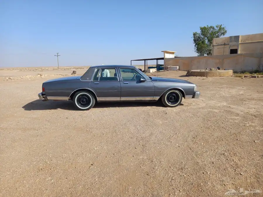 كابرس 1989 0