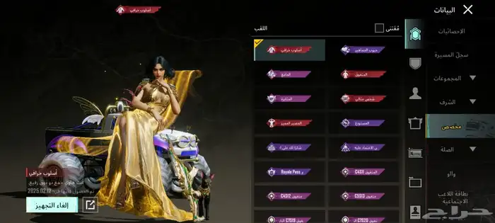 حساب ببجي للبيع 19