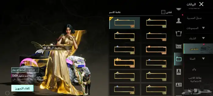 حساب ببجي للبيع 18