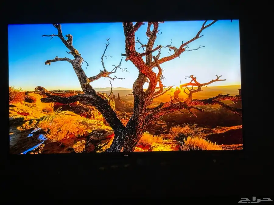 شاشة (2022)TCL QLED 4K سمارت 55 بوصة index