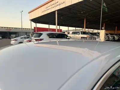 امبالا 2019 الجميح وكالة مخزن 16