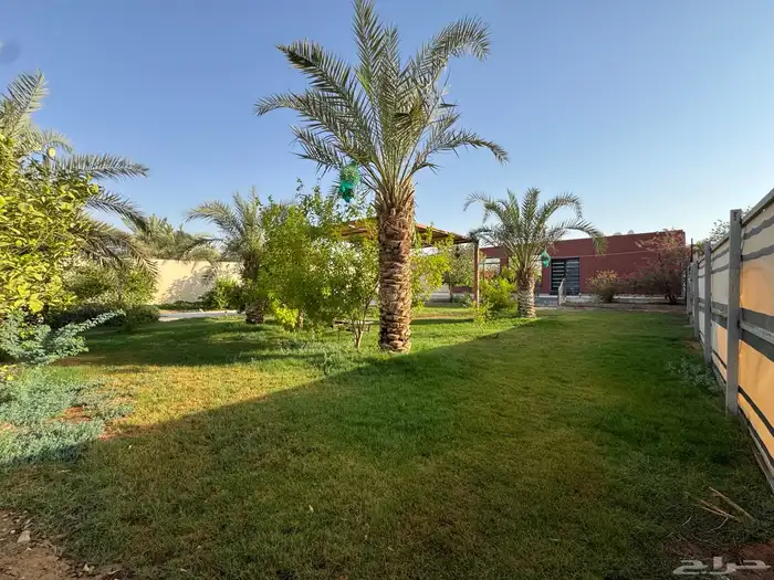 شاليه مزرعه استراحه ايجار المزاحميه 10