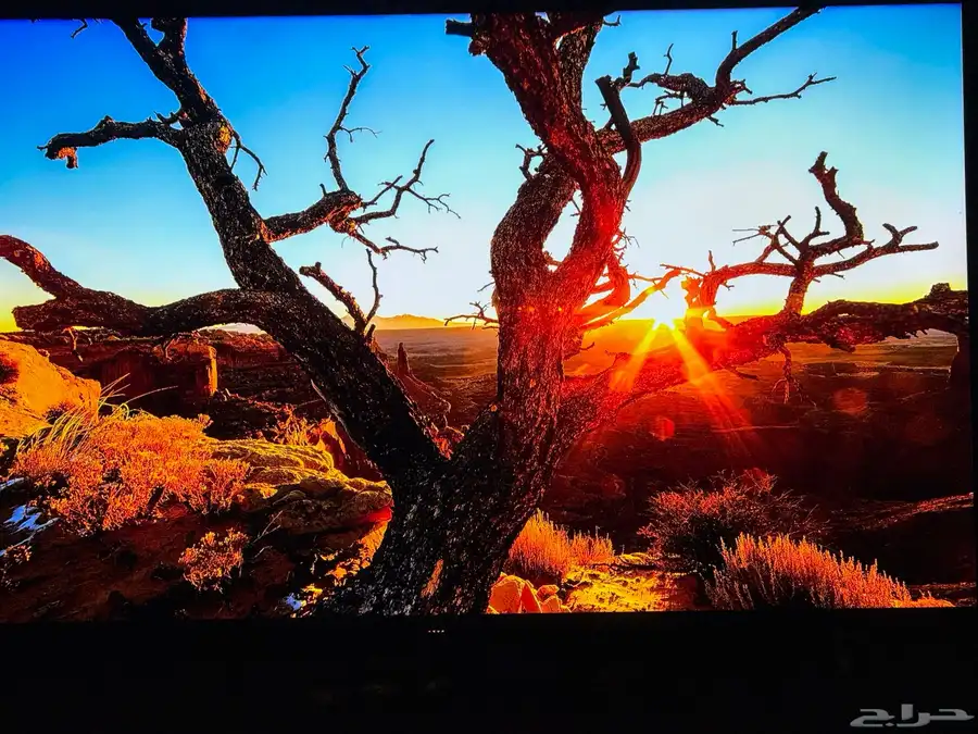 شاشة (2022)TCL QLED 4K سمارت 55 بوصة index