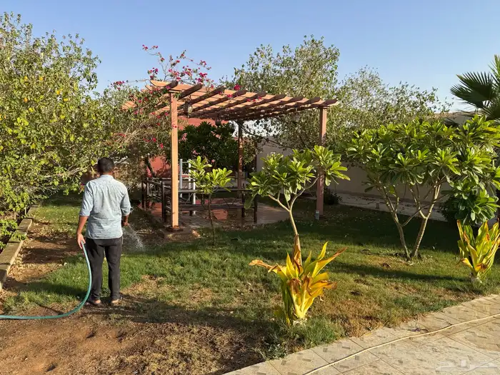 شاليه مزرعه استراحه ايجار المزاحميه 8