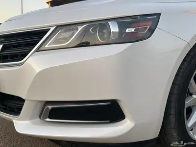امبالا 2019 الجميح وكالة مخزن 1