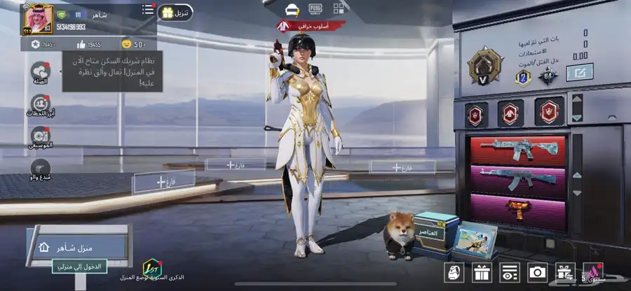 حساب ببجي 4
