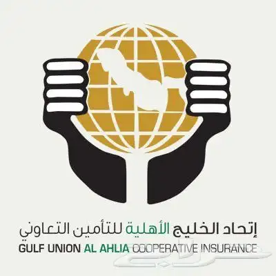 مطالبات التأمين عرض 30 ريال 11