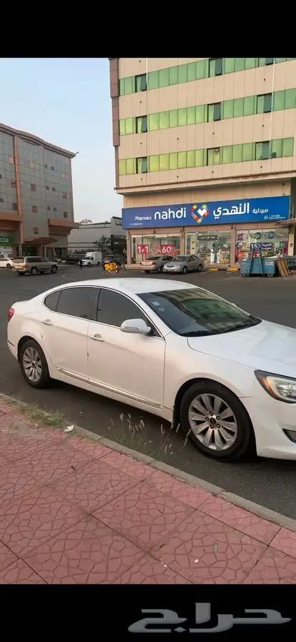 كادينزا 2011 5