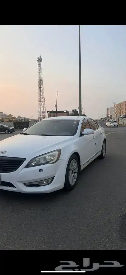 كادينزا 2011 0