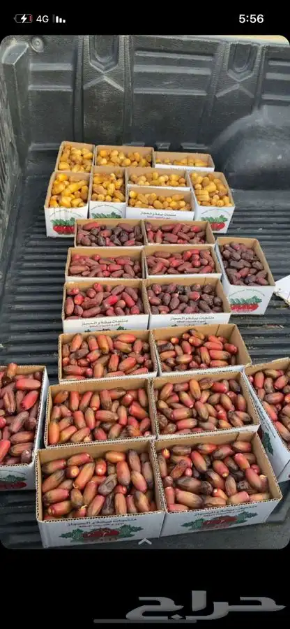 خرفه اليوم 0