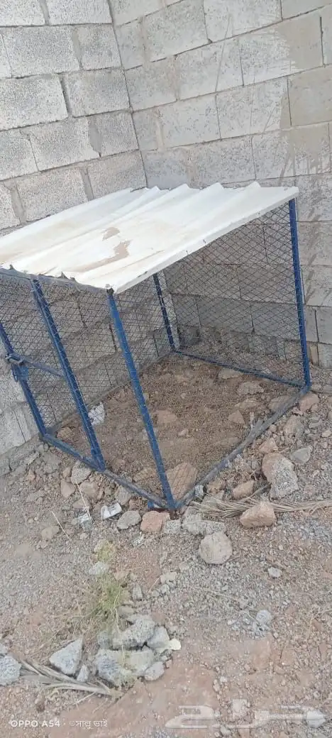 شبوك 0