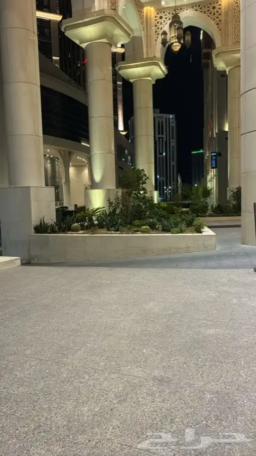 مطلوب شقه 0