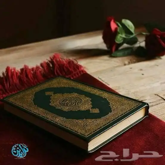 تعليم القران والتجويد للكبار والصغار 0