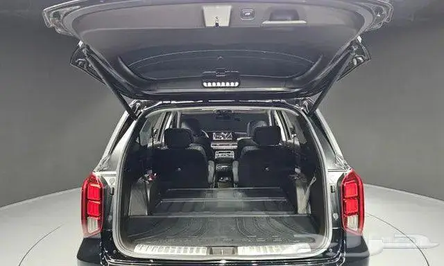 هيواندي باليسيد موديل2023 19