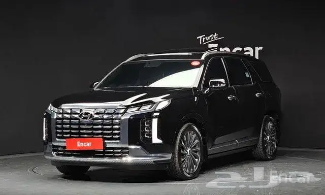 هيواندي باليسيد موديل2023 0