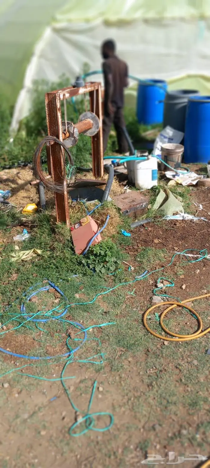 بيوت محميه للتقبيل 8