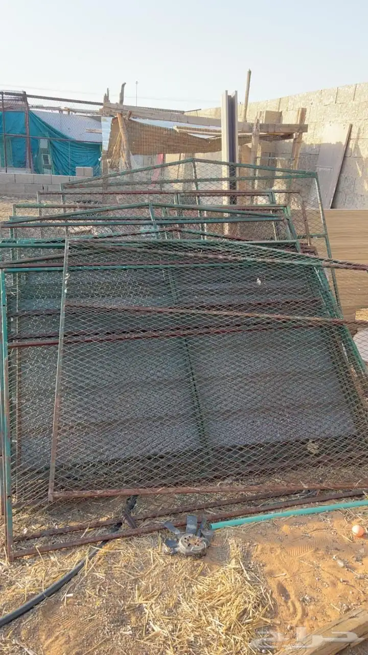 عشاش 1
