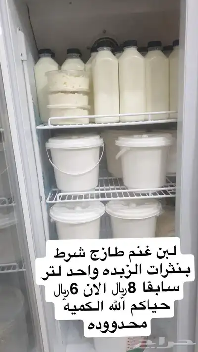 خاثر قشطه زبده لبنه سمن لبن مقدوس نوعين مفرزنات كل شي موجود 0