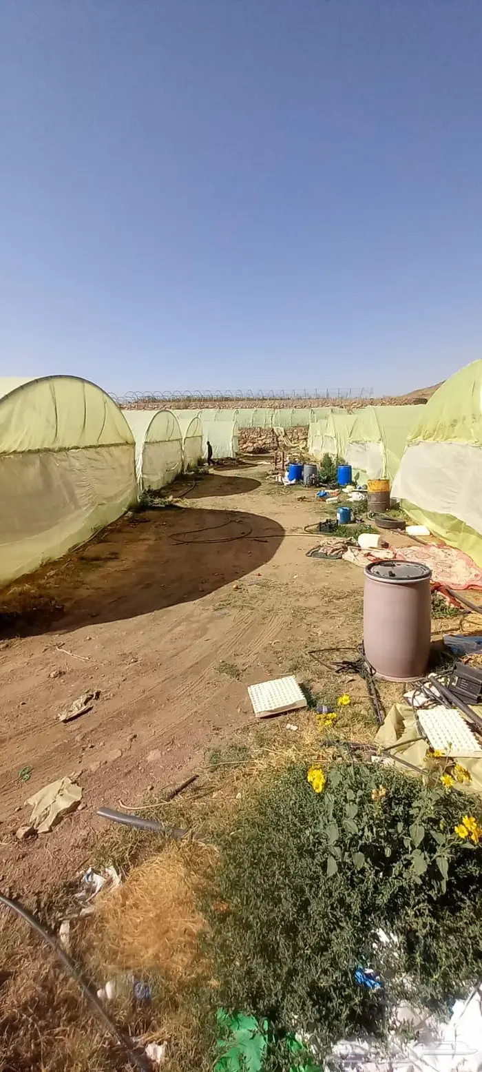 بيوت محميه للتقبيل 7