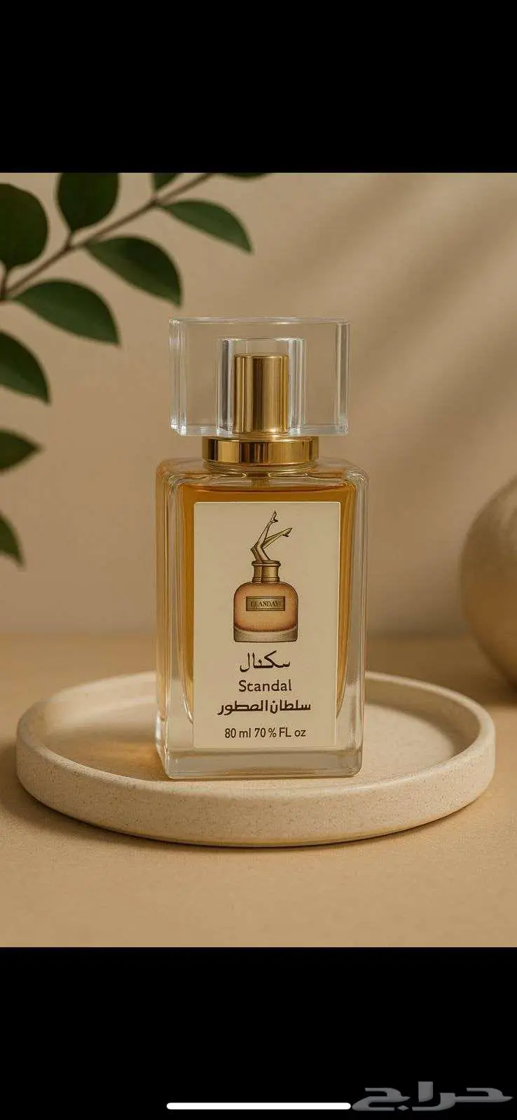 عطور مستوحاه جمله و قطاعي 2
