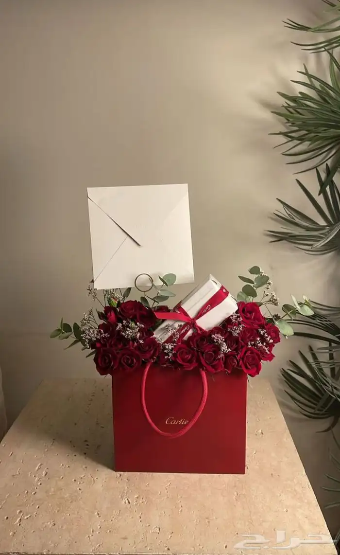 مندوب الرياض 6