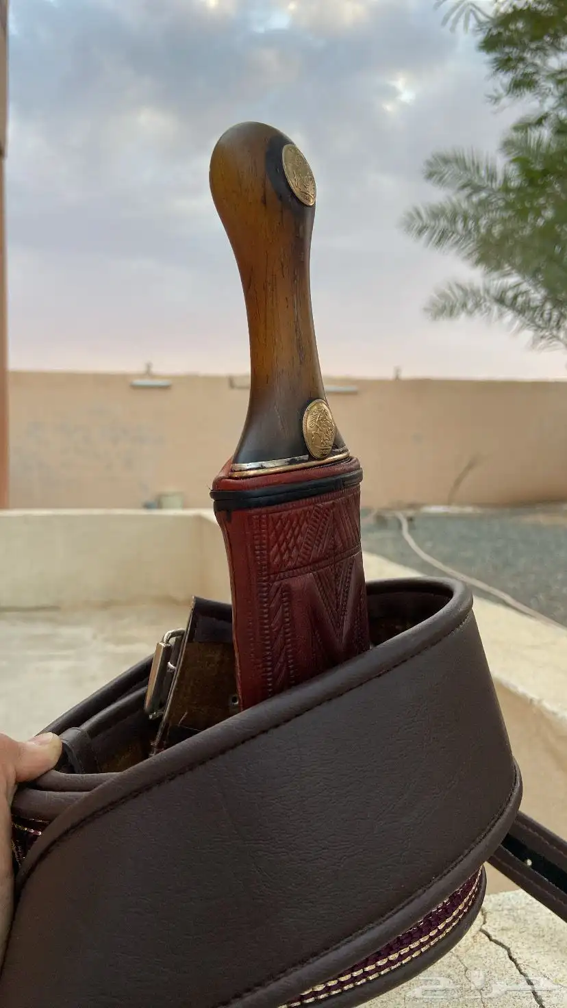 جنبيه وتر كفو 13