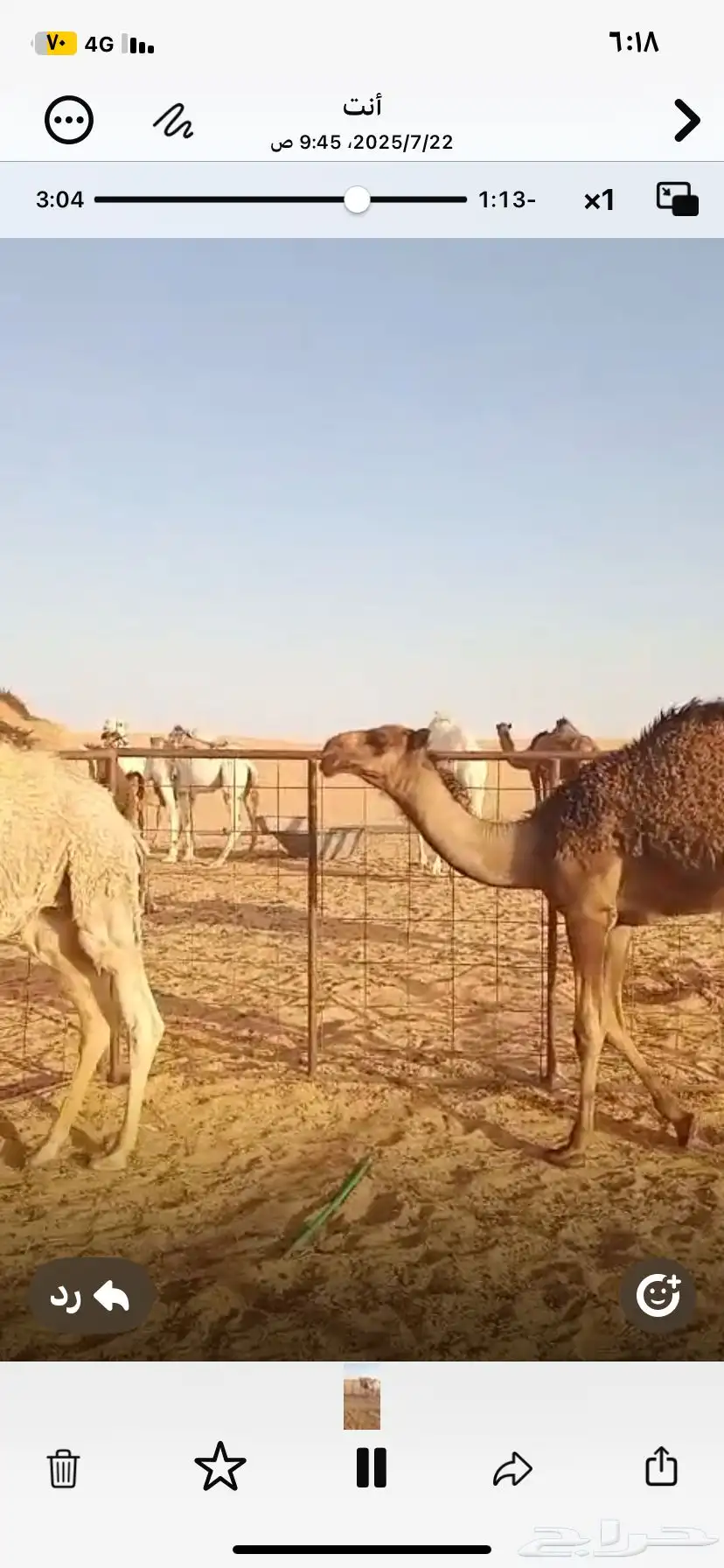 حشو بريه شحم وجروم وعلي حليب 1