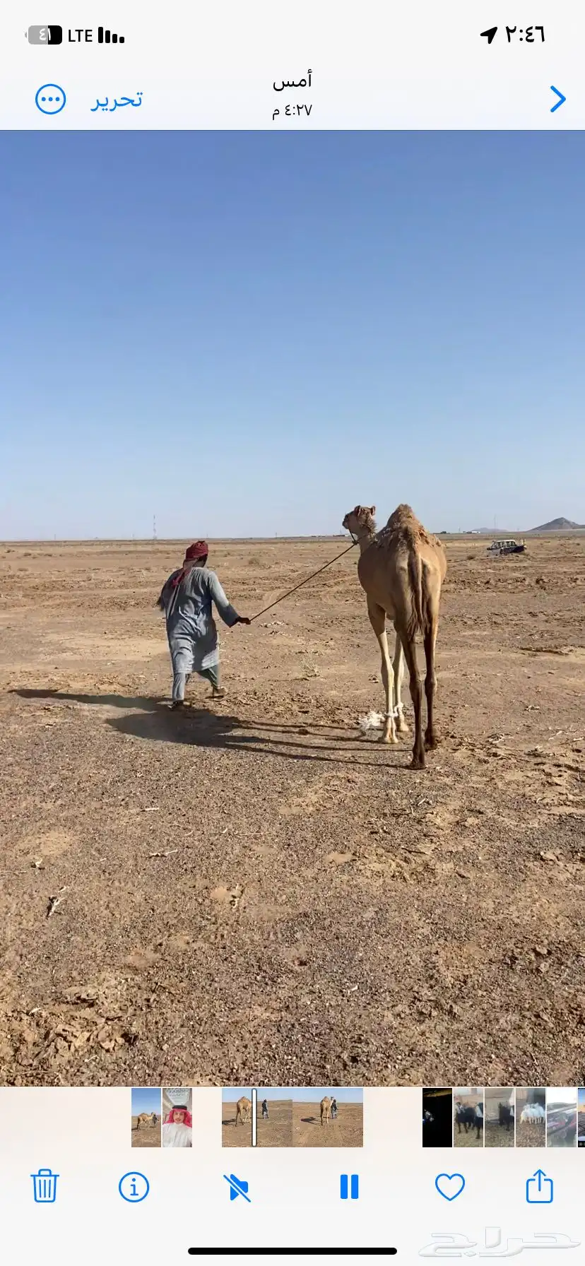 للبيع بكره حقه تقاود 1