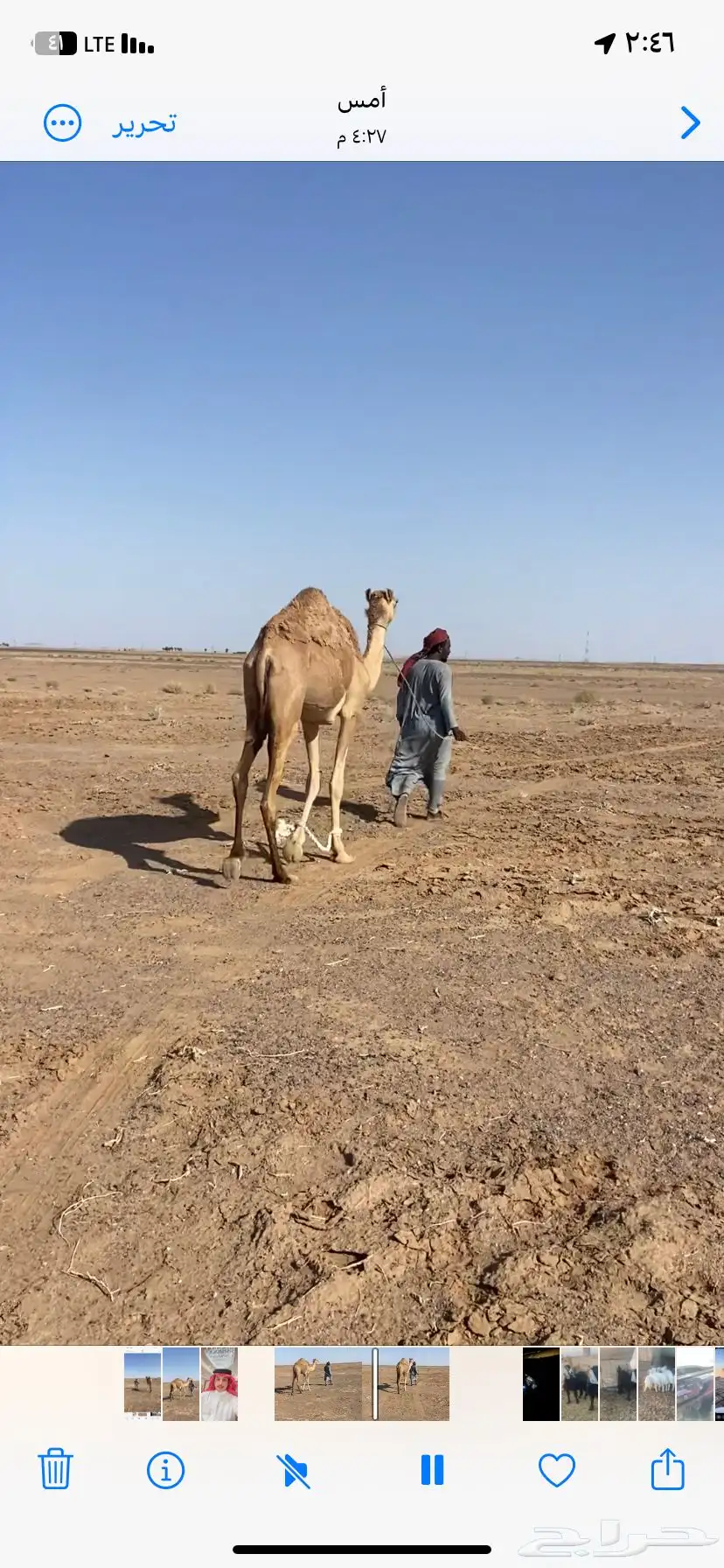للبيع بكره حقه تقاود 0