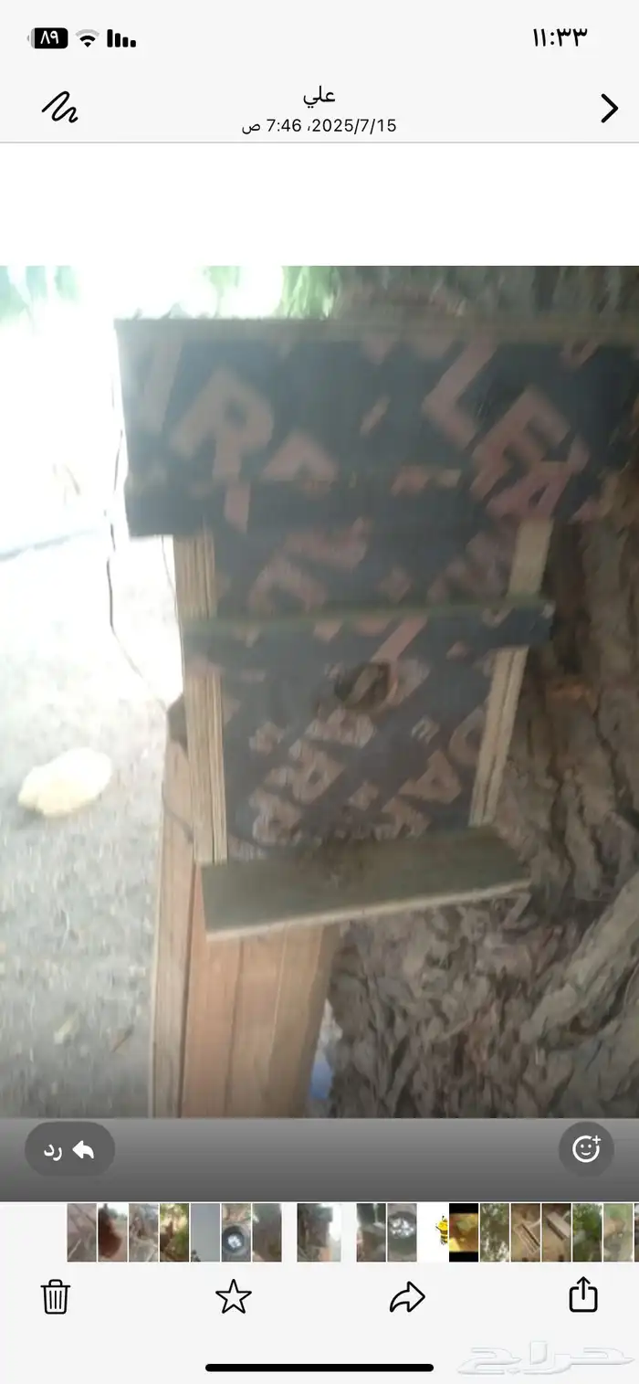نحل للبيع 4