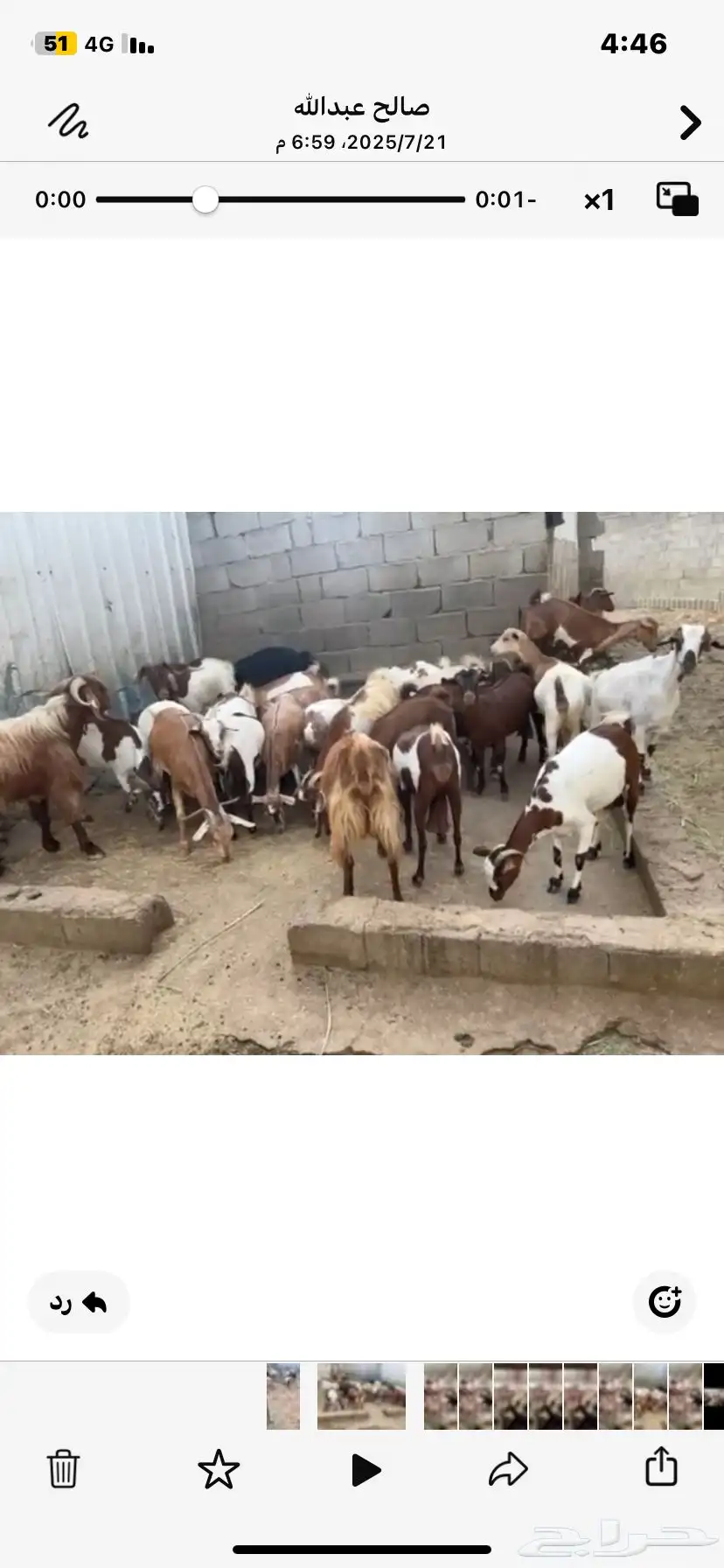 30 كبير و40 بهم   السوم 56K   البيع قريب   الموقع المخواه 0