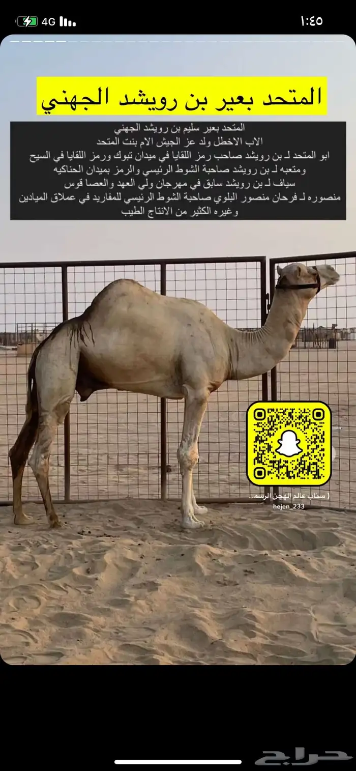 للبيع بكره حوره شكل فل وسلاله طيبه 0