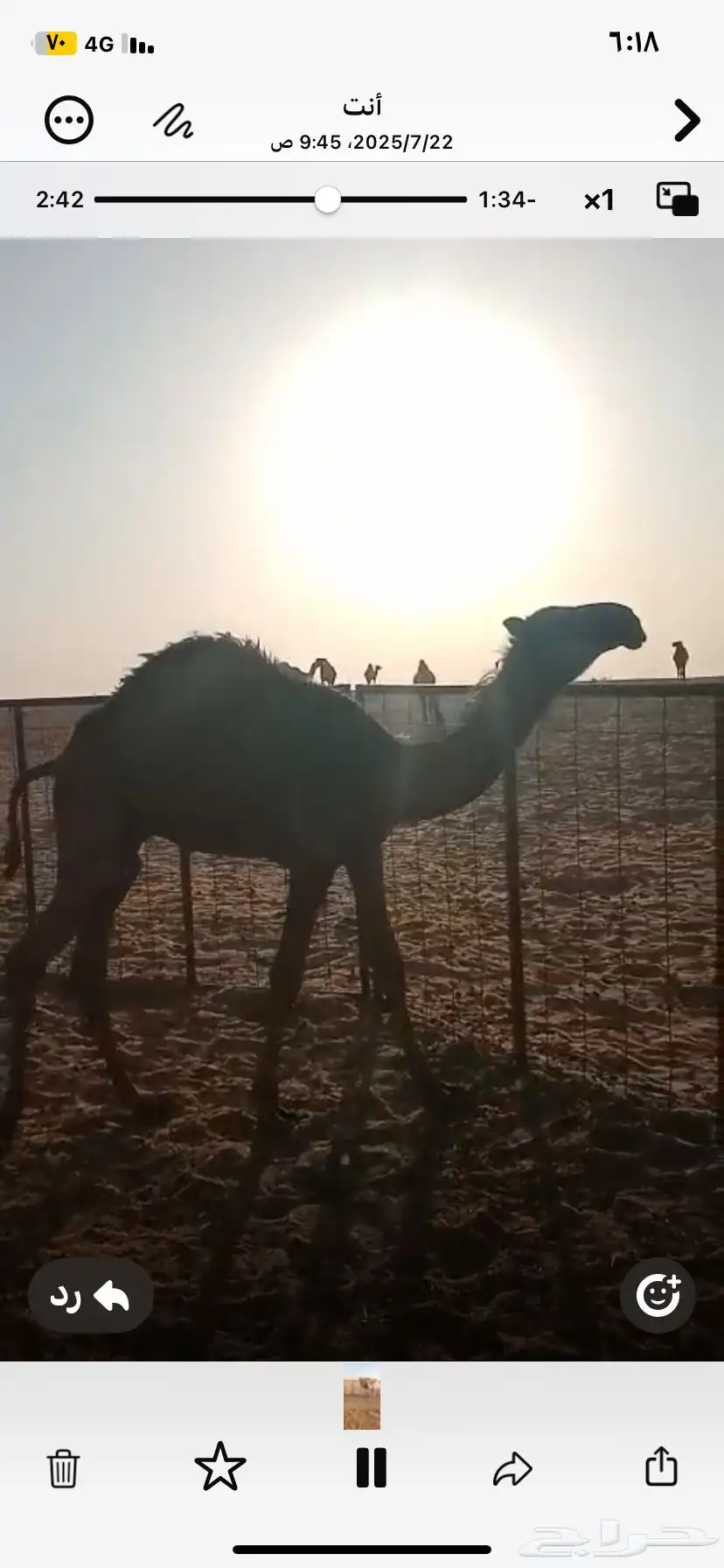 حشو بريه شحم وجروم وعلي حليب 3