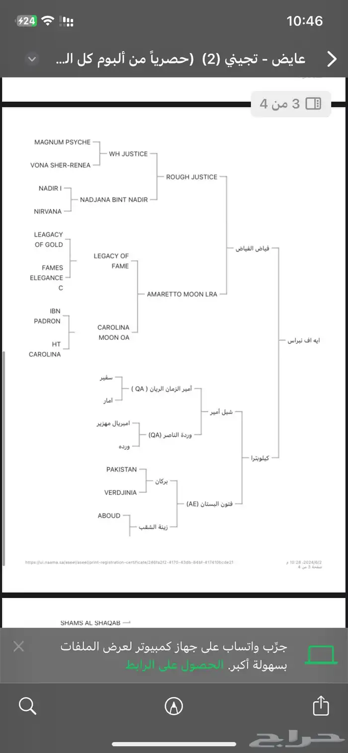 حصان فحل منتج 3