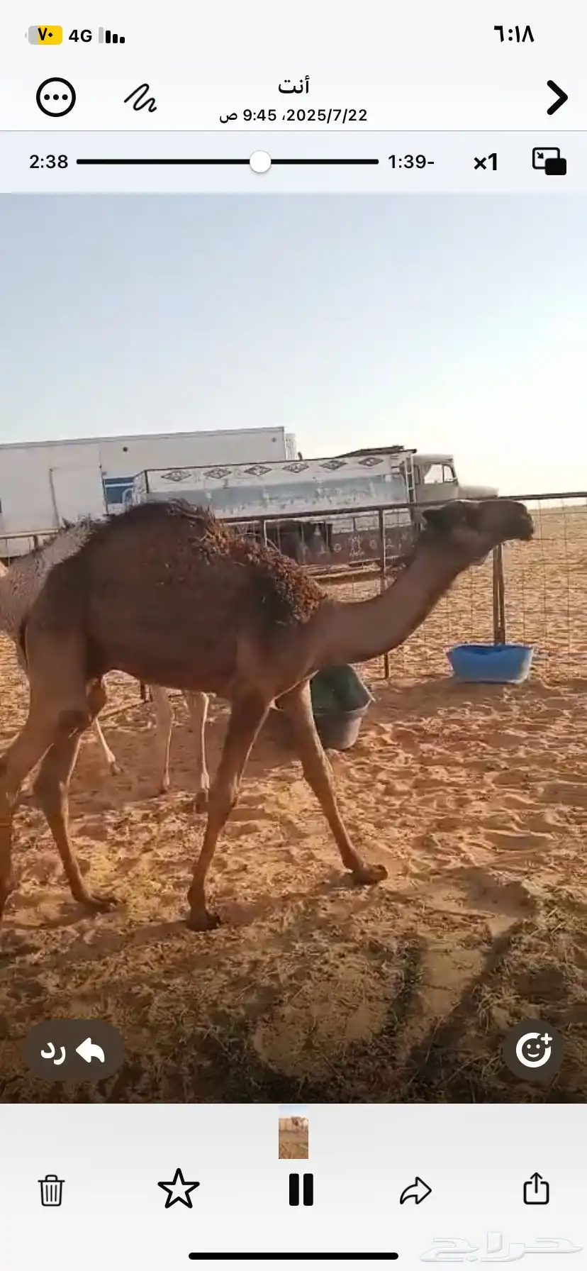 حشو بريه شحم وجروم وعلي حليب 5