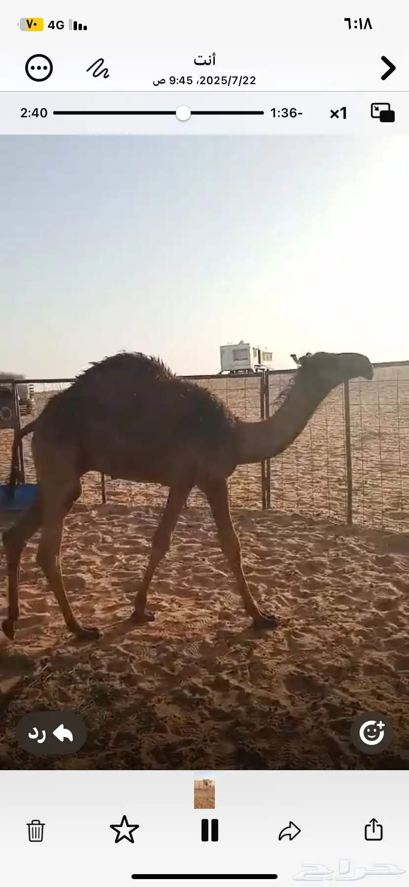حشو بريه شحم وجروم وعلي حليب 4