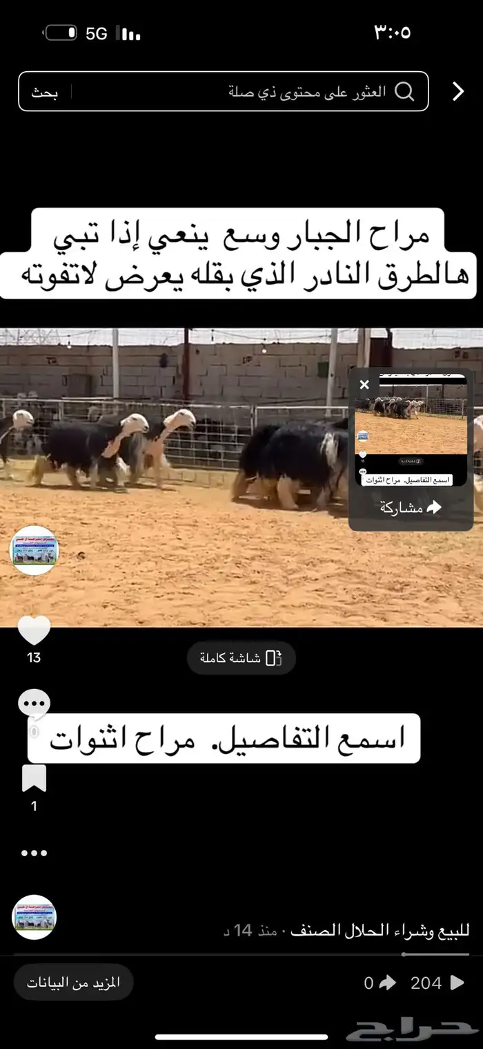 عرض بيع نجد فخمها 2