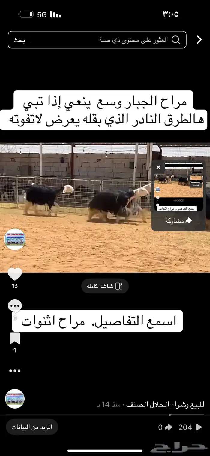عرض بيع نجد فخمها 1