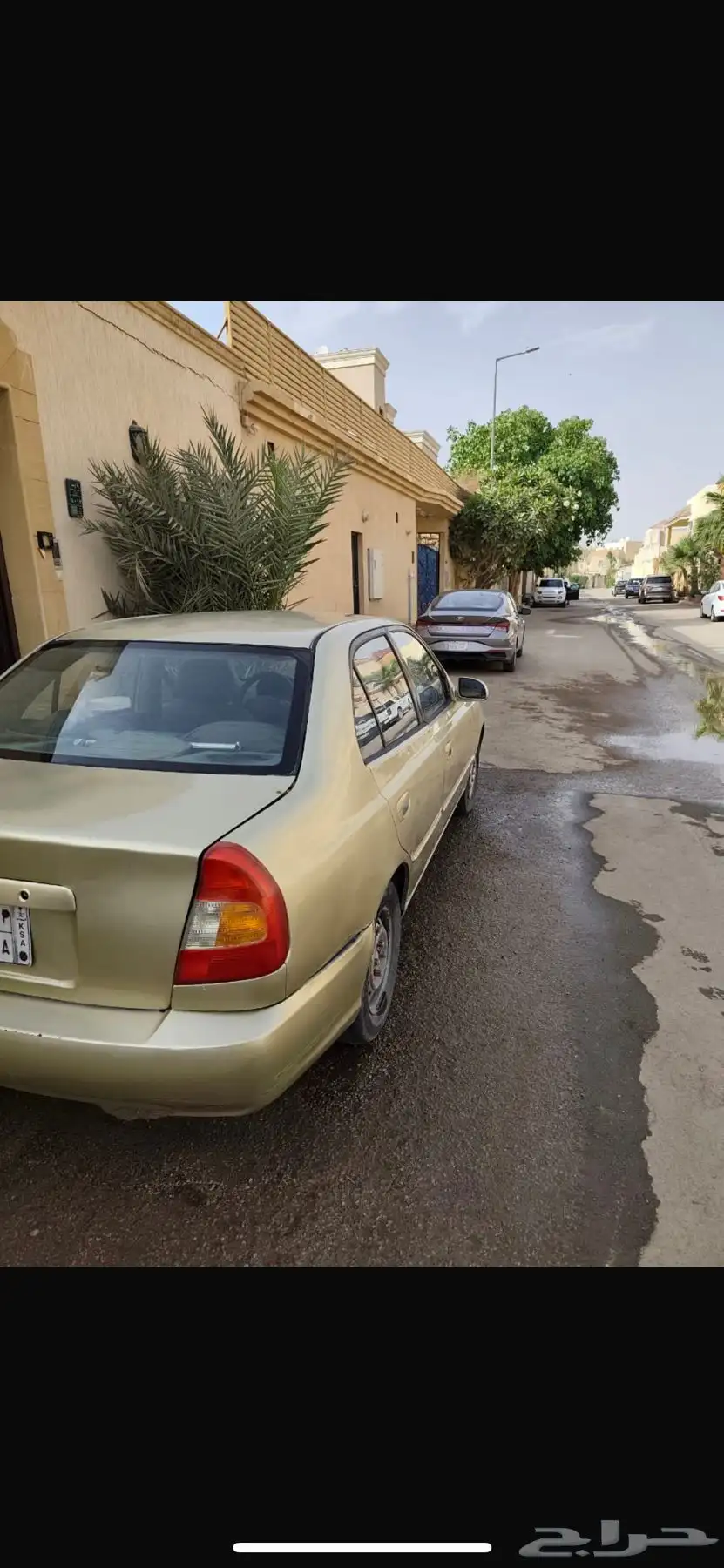 اكسنت -2001 ذهبي 2