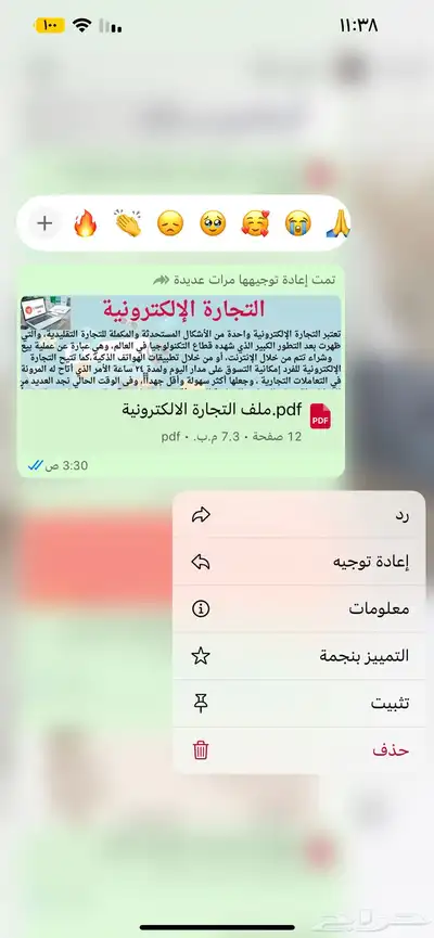 منتجات رقميه مربحه 24