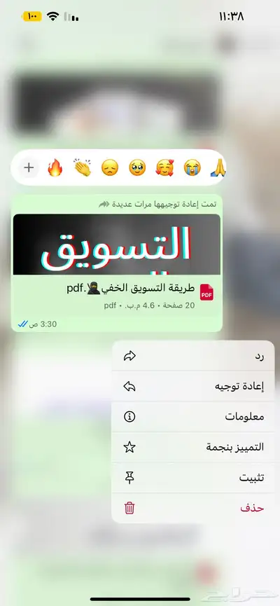 منتجات رقميه مربحه 21