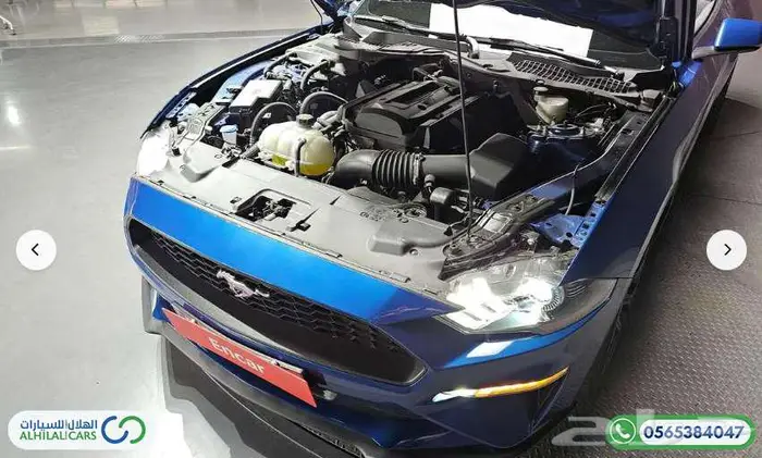 كود   S 119 موستينج المكشوفة 2023 5