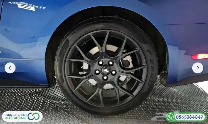 كود   S 119 موستينج المكشوفة 2023 4