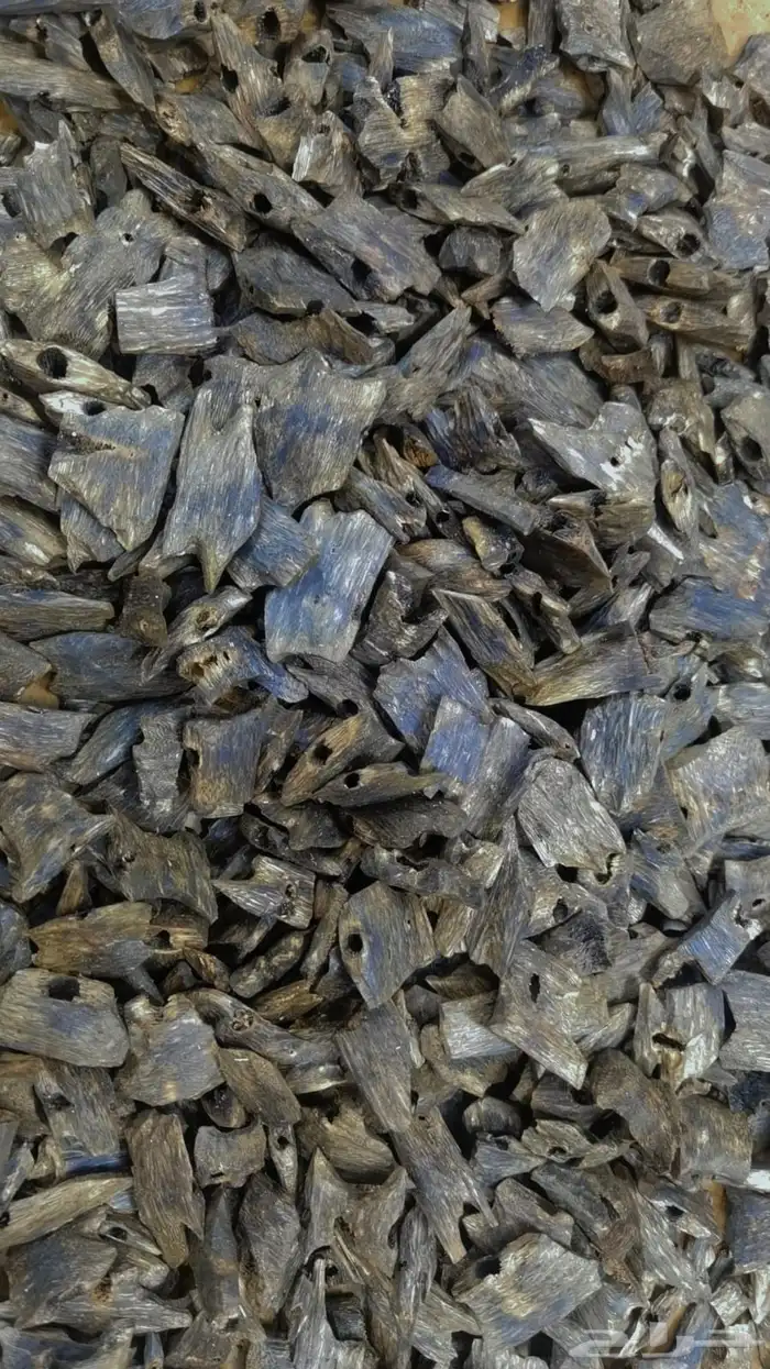 عود كينام تربل رائحة مميزه جداا 2