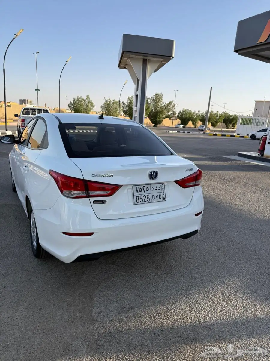 شانجان السفن 2